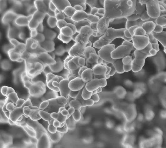 nodular-powder